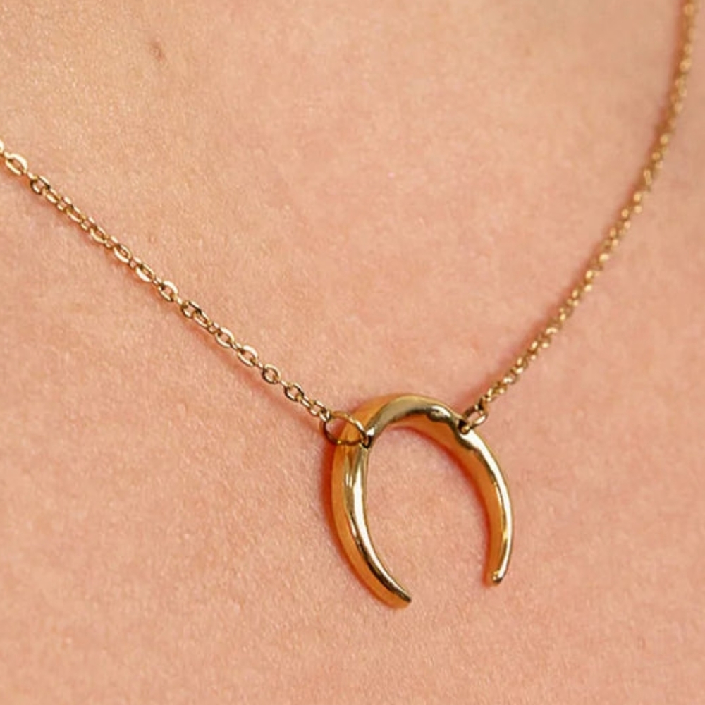 BENEVOLENCE  Golden Good Luck Horseshoe Necklace Looks Real